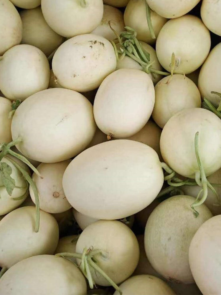 Haoyu Sweet Melons