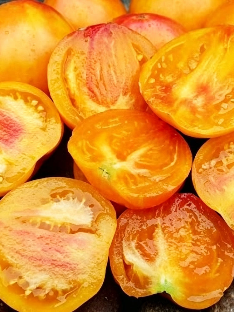 1084 Heart of Flame Tomato