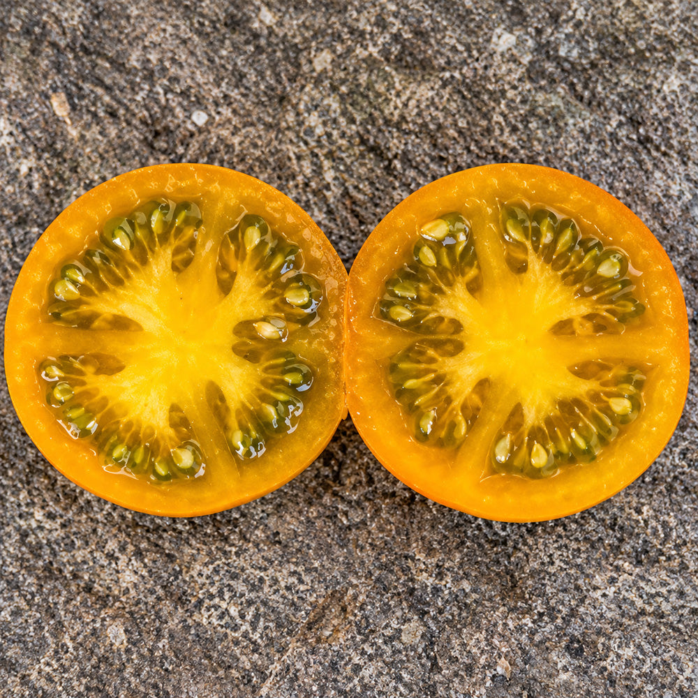66 Dwarf Soul Patch Tomato