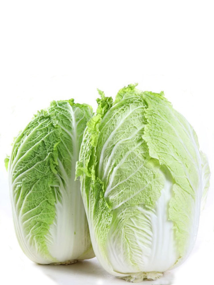 Fengkang 80 Chinese Cabbage