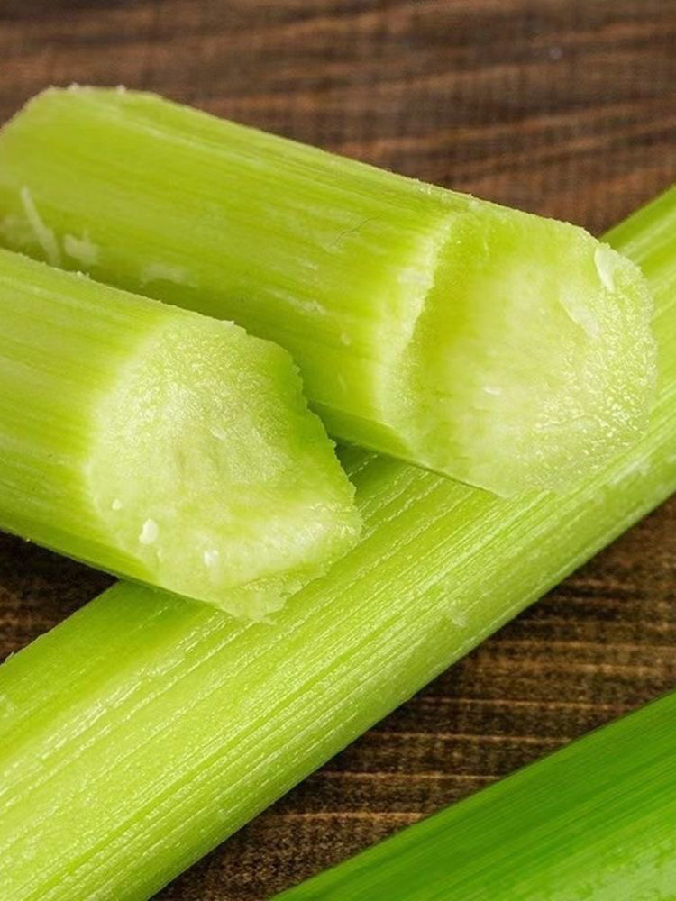 Traditional Sweet Sorghum