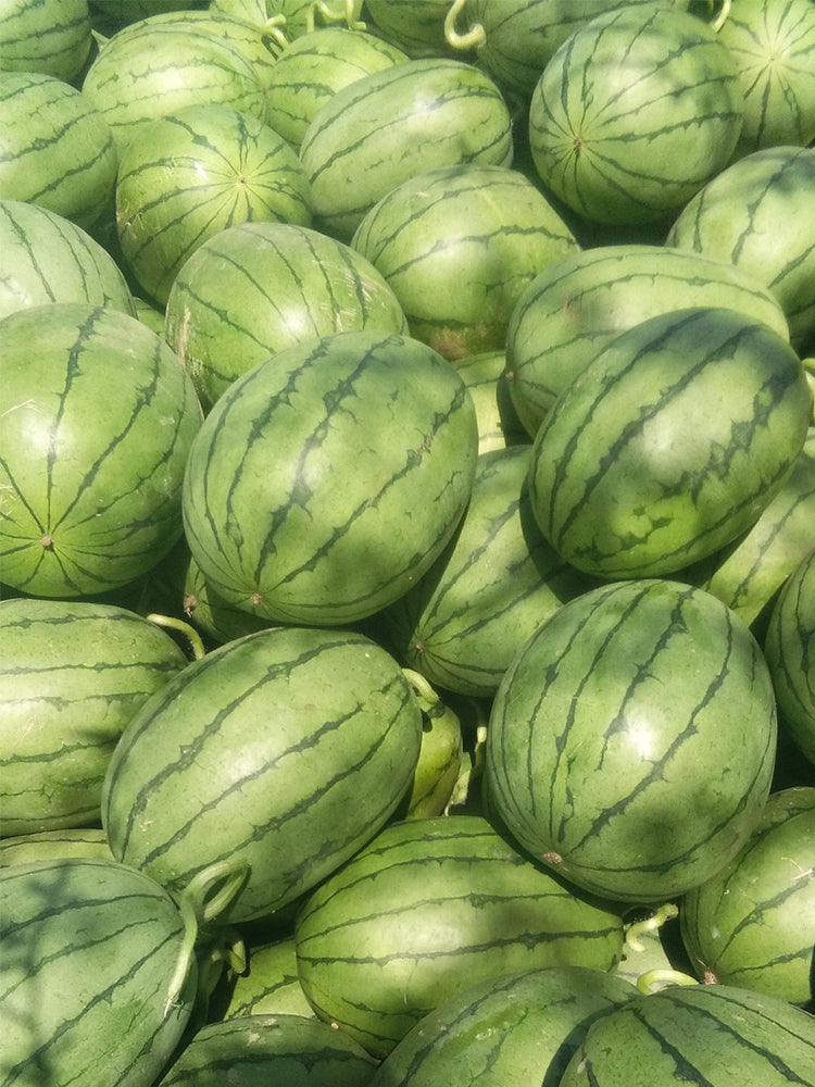 Zaochun Hongyu Watermelons