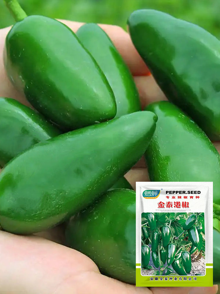 Jintai Hongjiao Chili