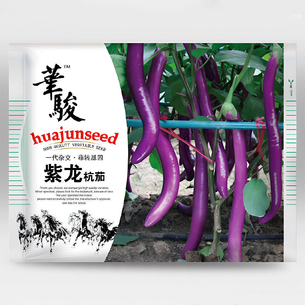 5 Bags (100 Seeds/Bag) of 'Purple Dragon' Hangzhou Eggplant Seeds
