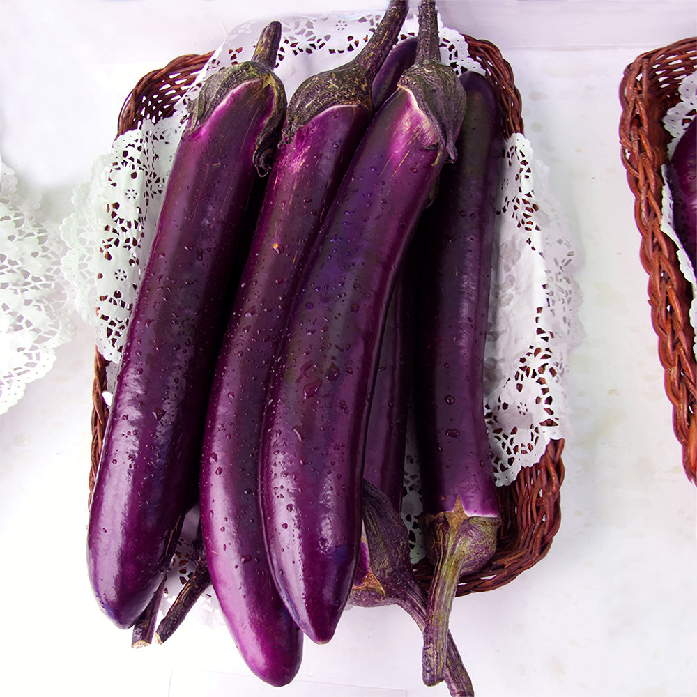 5 Bags (400 Seeds/Bag) of 'Purple Dragon' Long Eggplant Seeds
