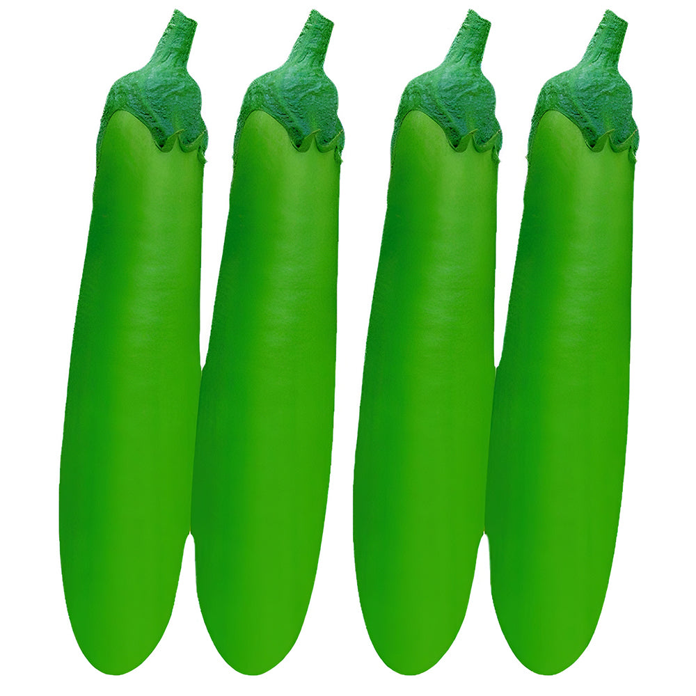 5 Bags (100 Seeds/Bag) of 'Green Dragon' Long Eggplant Seeds