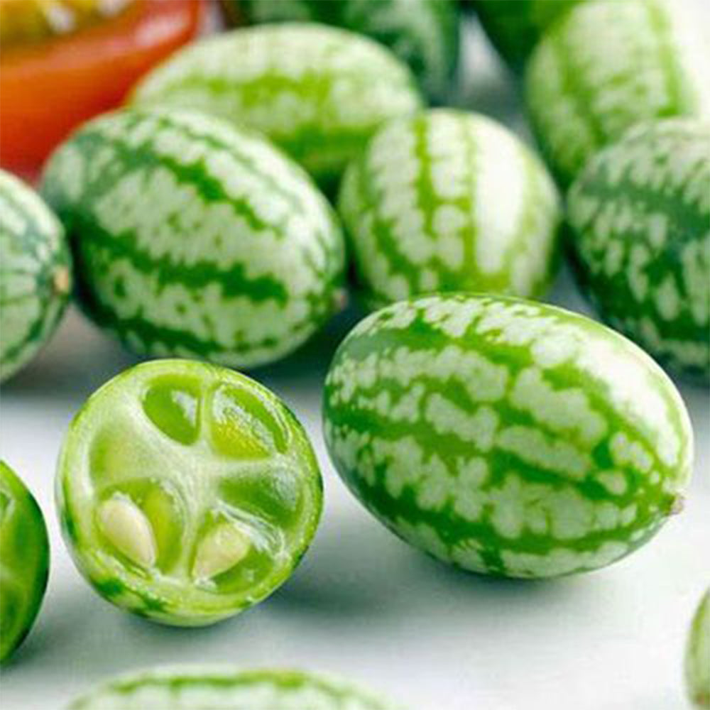 5 Bags (50 Seeds / Bag) of Cucamelons Seeds, Mexican Sour Gherkins