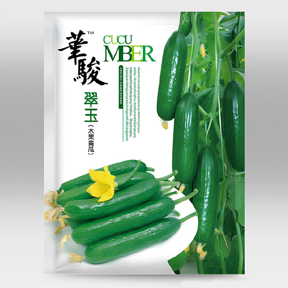 Green Gems: 5 Bags (30 Seeds/Bag) of Dutch Thornless Sweet Crisp Cucumbers