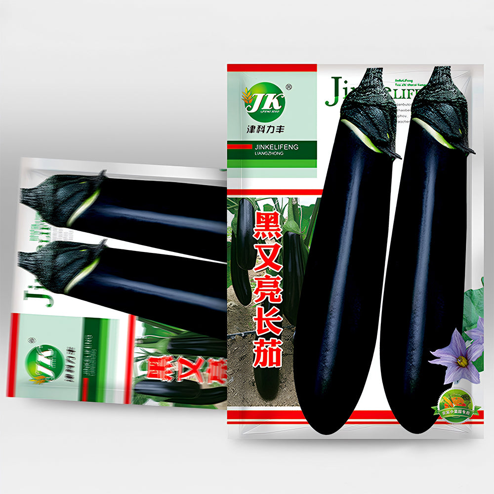 5 Bags (400 Seeds/Bag) of 'Glossy Black' Long Eggplant Seeds