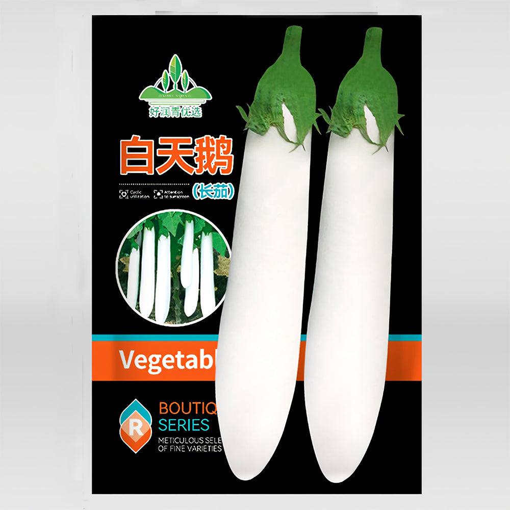 5 Bags (300 Seeds/Bag) of White Long Eggplant Seeds