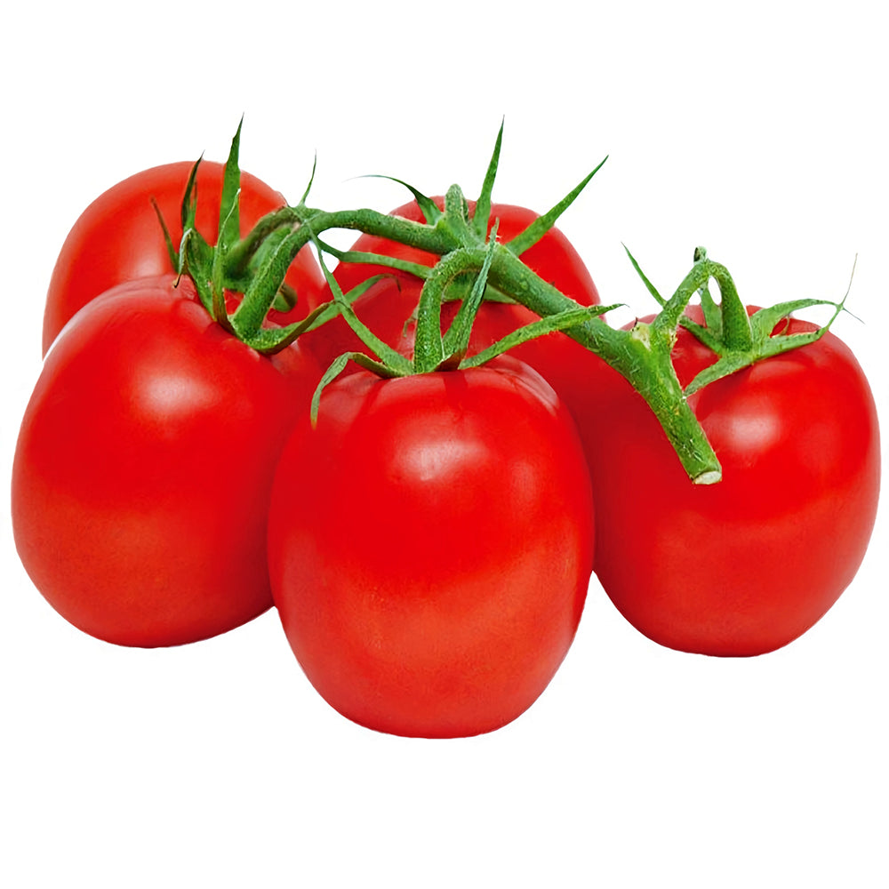 Jam Selection: 5 Bags (200 Seeds / Bag) of Top-Performing Salad Tomatoes