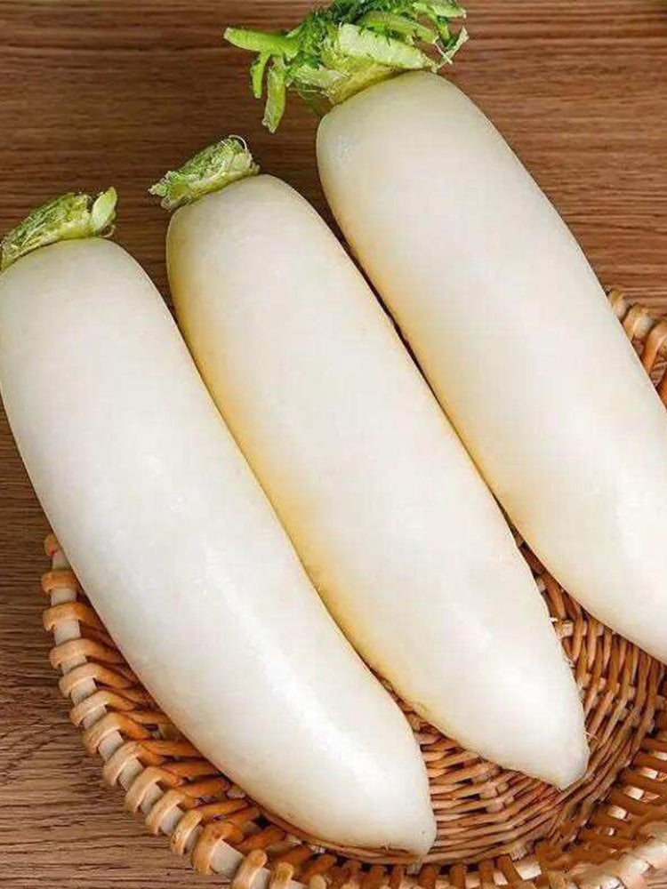 Jiujinyu White Radish