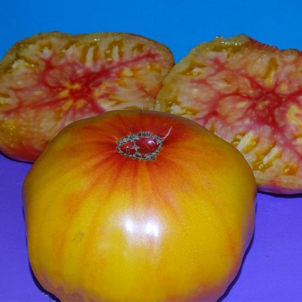 277 Tennessee Surprise Tomato