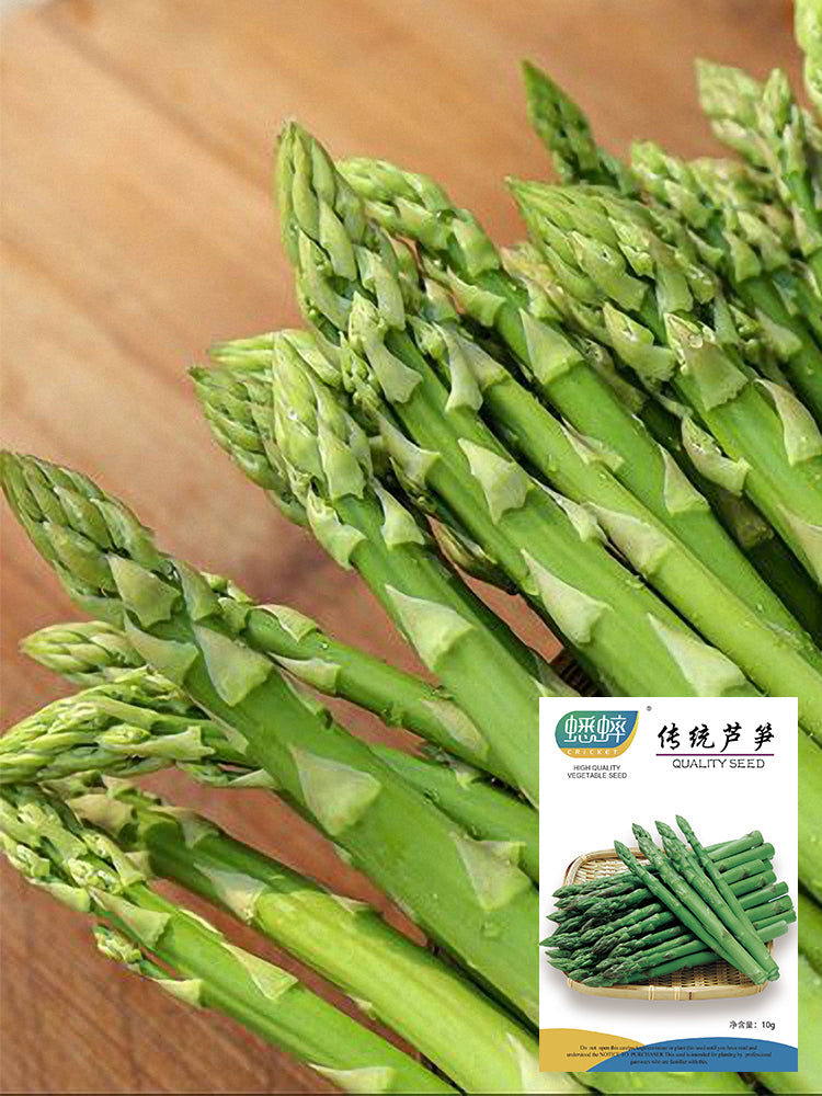 Green Asparagus (Asparagus officinalis L.)