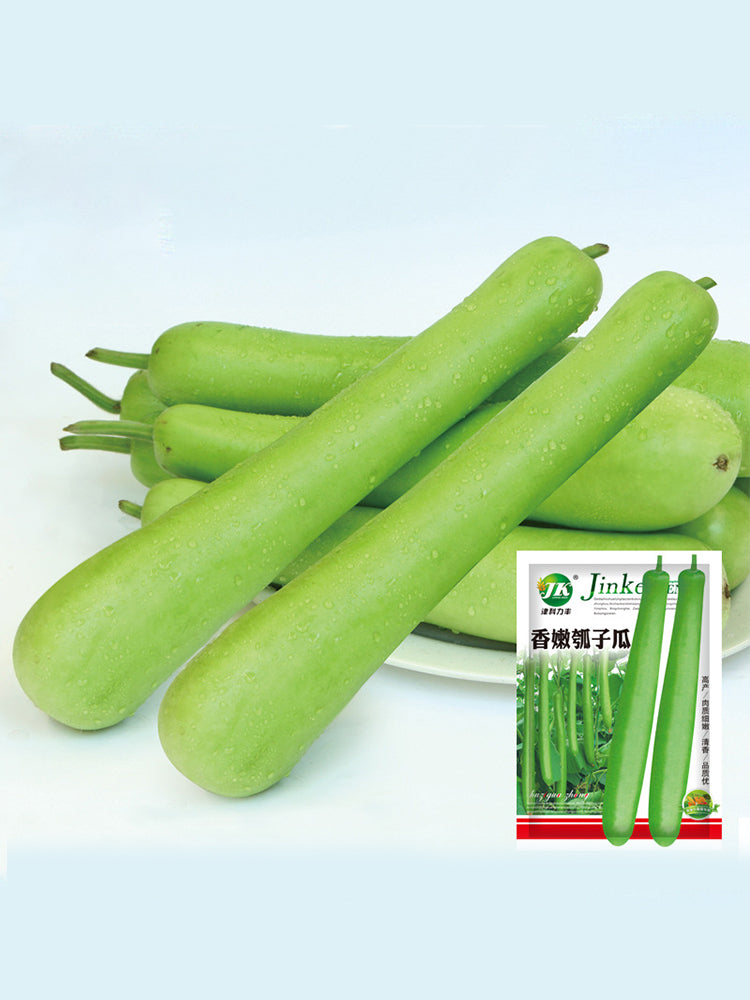 Bottle Gourd (Lagenaria siceraria)