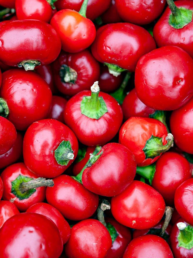 Red Hot Cherry Pepper