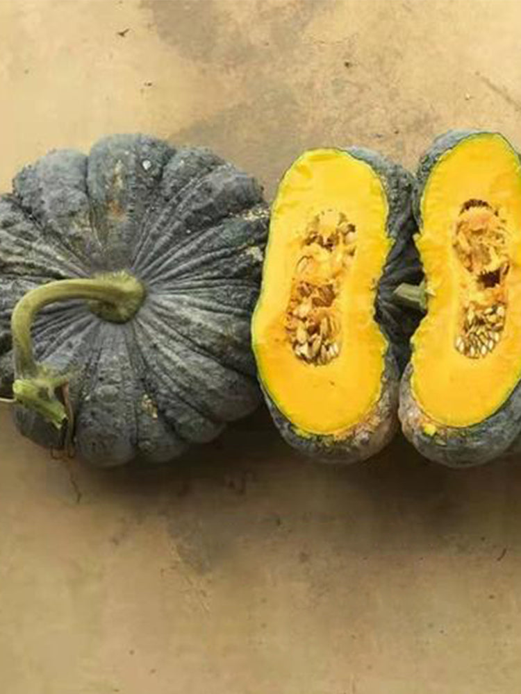 Thai 'Gold Coin' Pumpkins