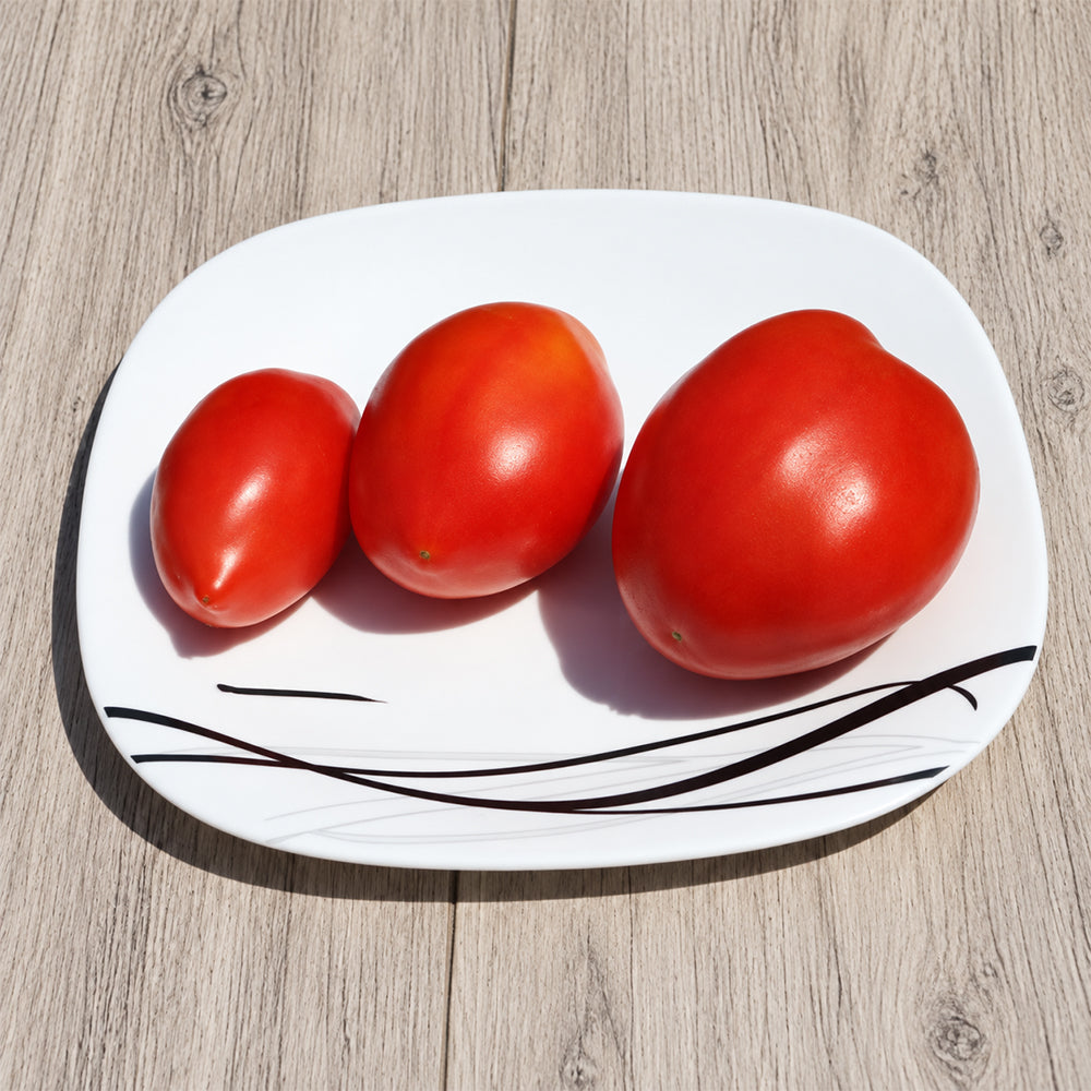 390 Minusinskie Stakany Krasnye Tomato