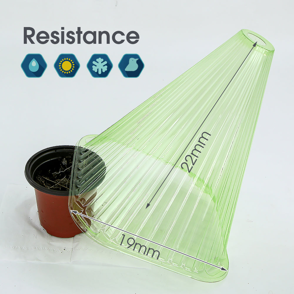 Plant Cloches, Protects Plants from Birds Frost Snails, etc