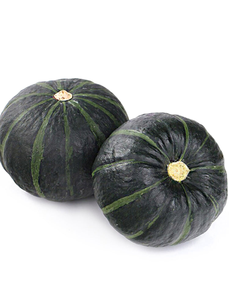 'Li Mei No. 1' Baby Pumpkin