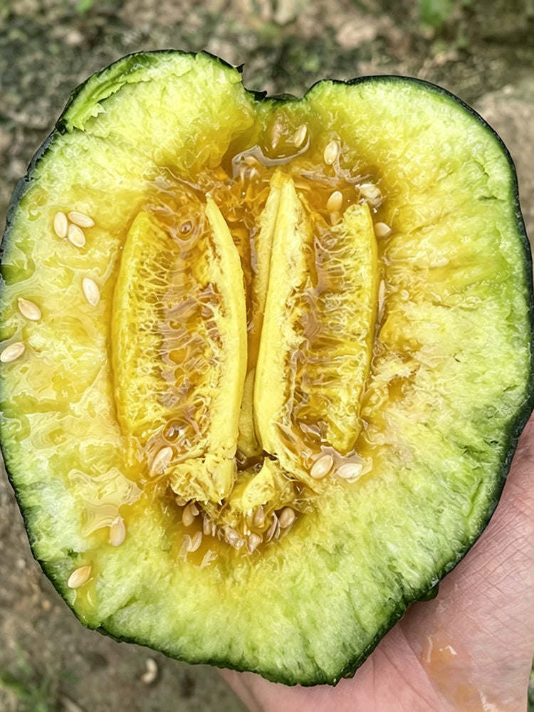 Sweet Mealy Black Skin Melon