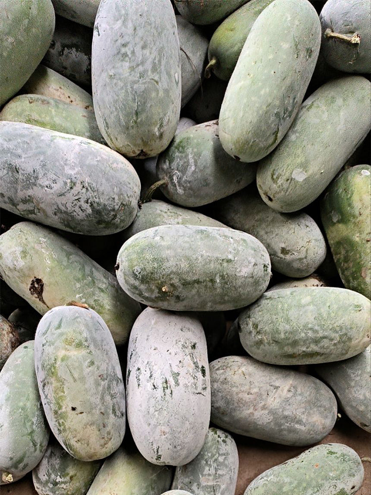 Taiwan Small Wax Gourds