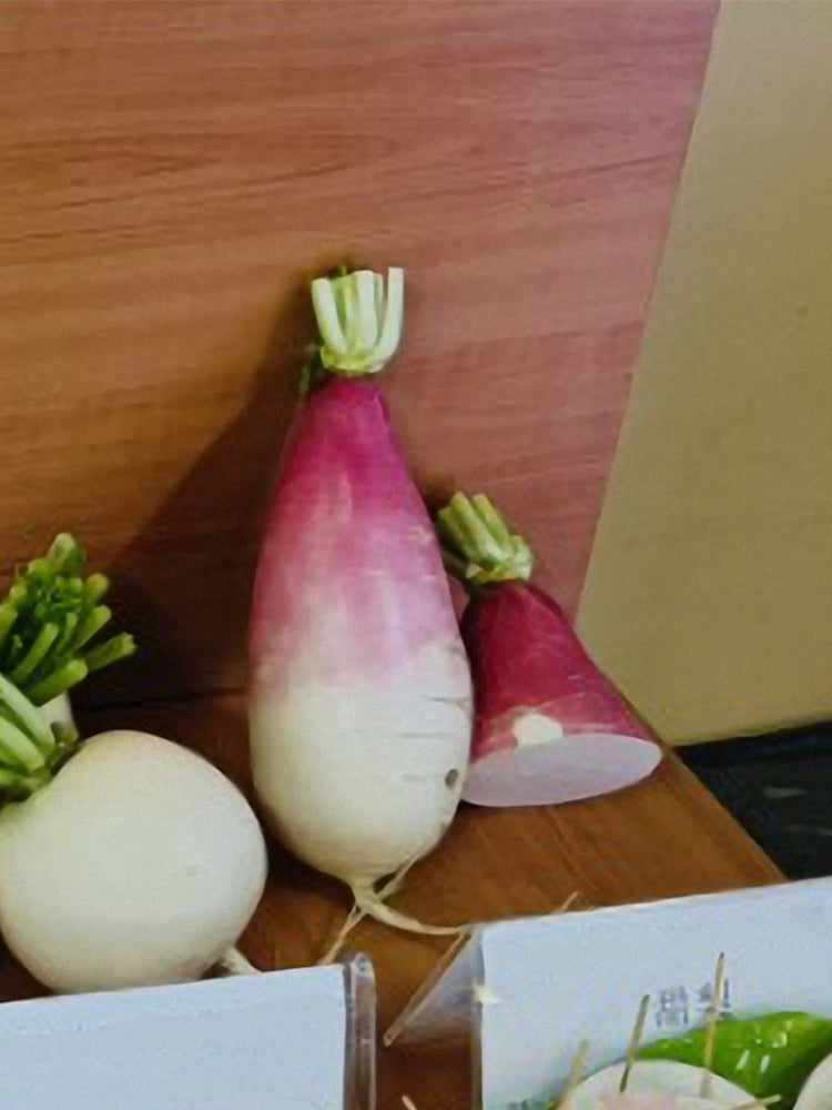Sweet Pear' Radish (Raphanus sativus)