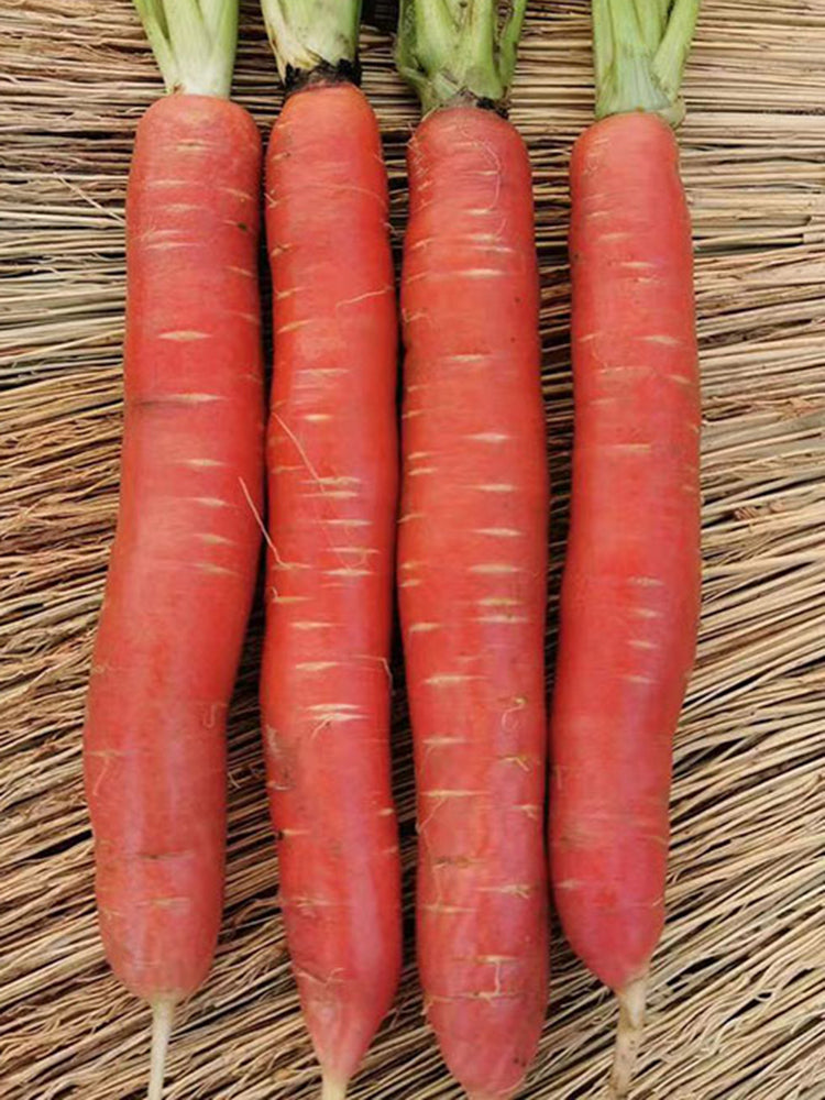 'Beauty Finger' Carrot