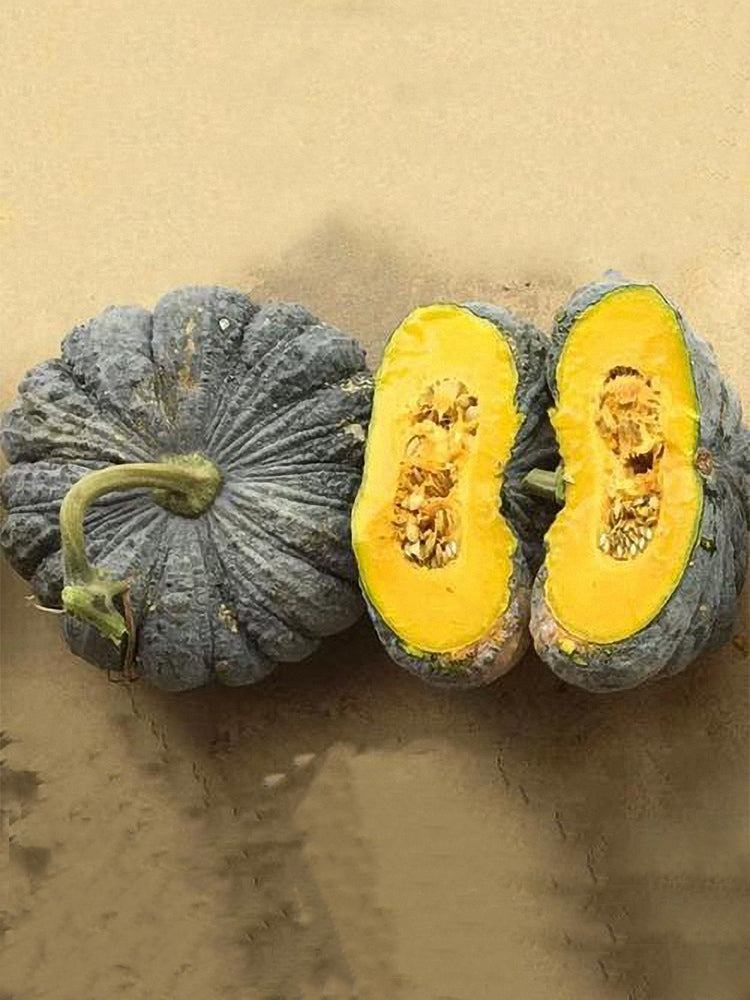 Honey Black No.2 Pumpkin