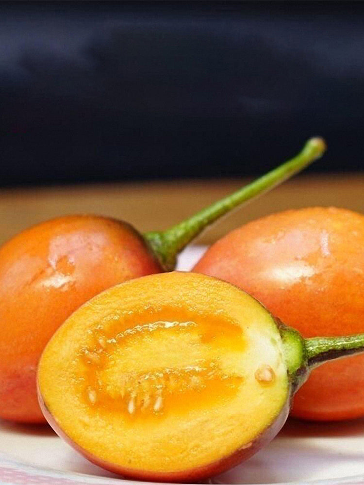 Tree tomato (Solanum betaceum Cav.)