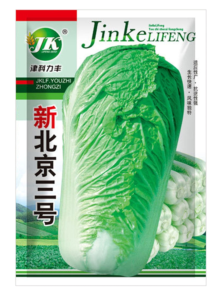 Beijing New No.3 Cabbage
