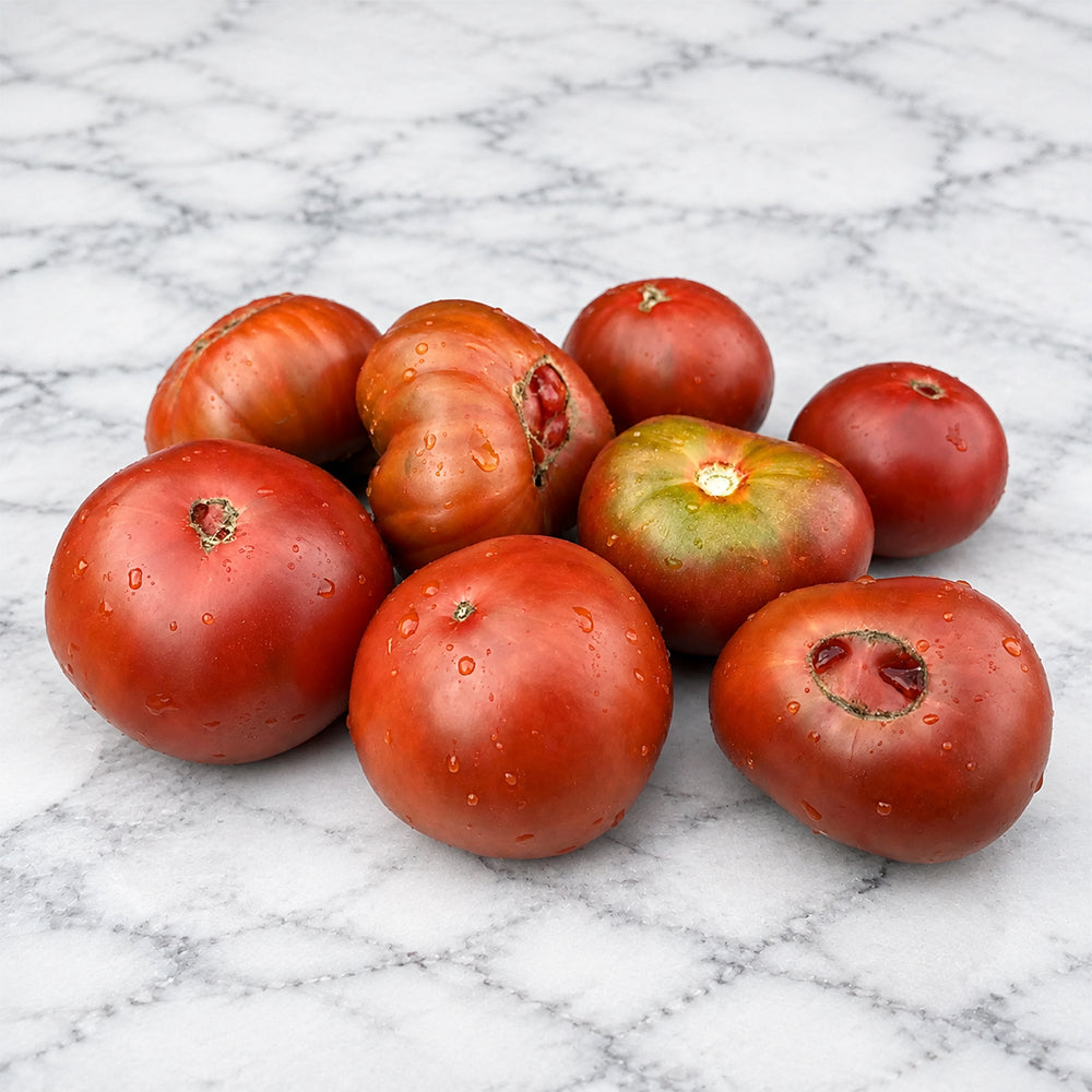 1154 Chocolate Henry F6 Tomato