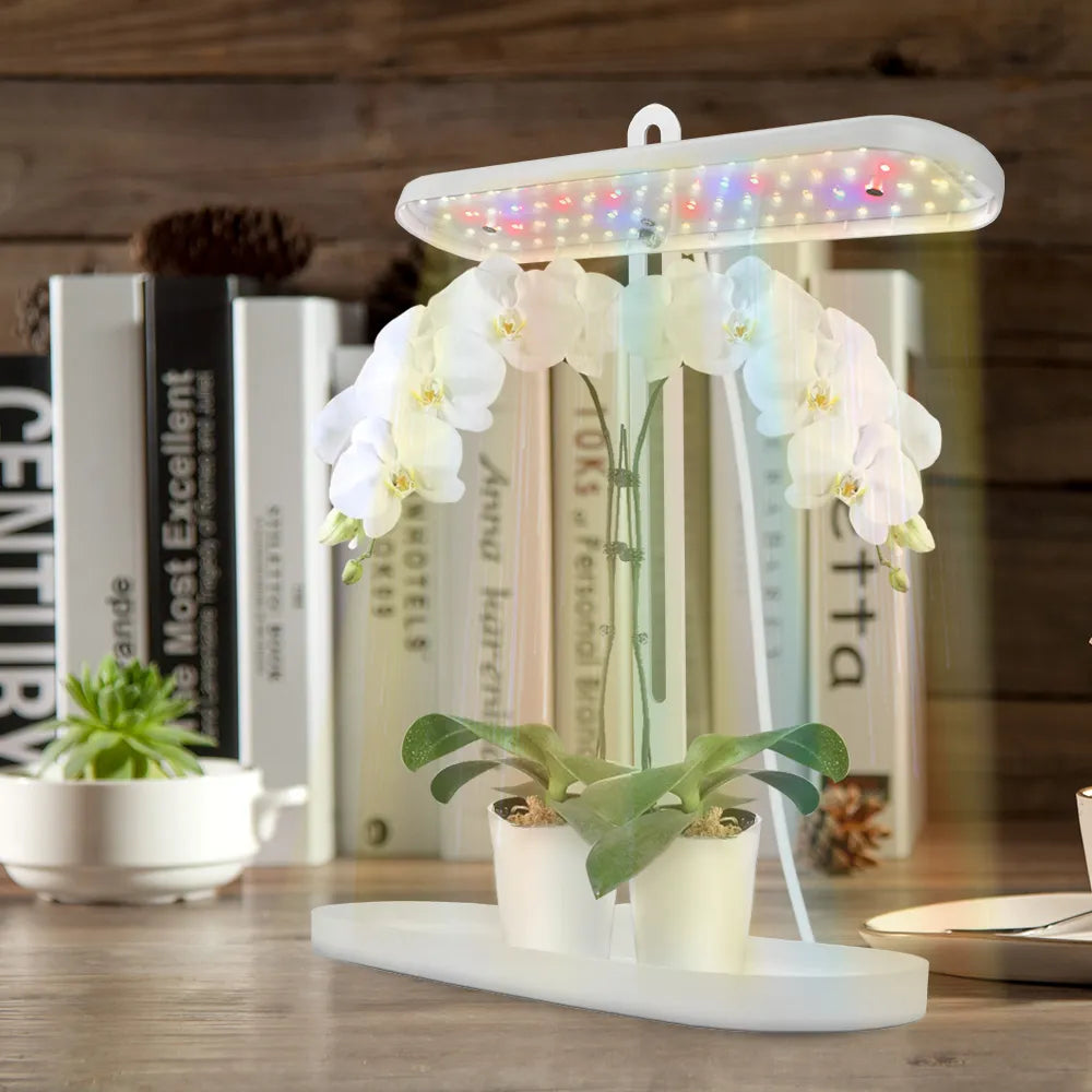 38x13x43.5cm Table Plant LED Grow Light with Timing Controller