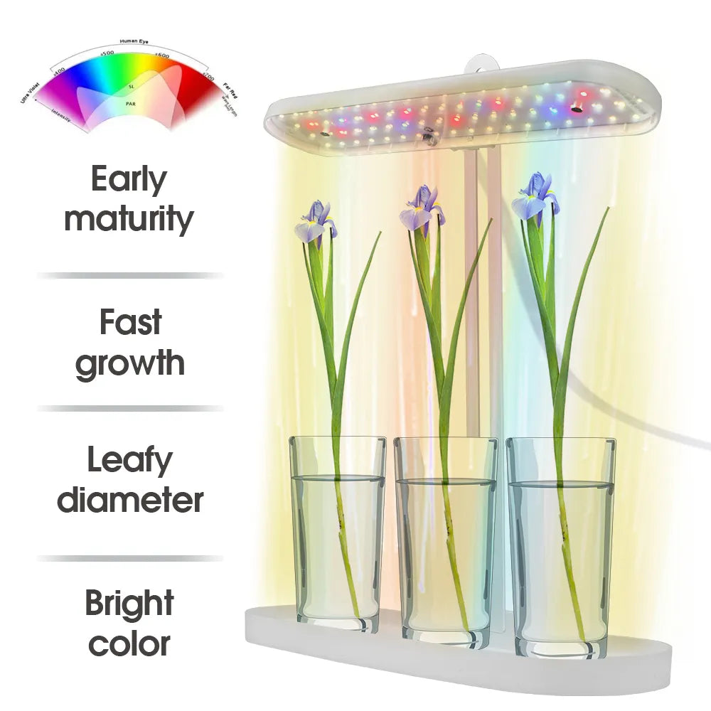 38x13x43.5cm Table Plant LED Grow Light with Timing Controller