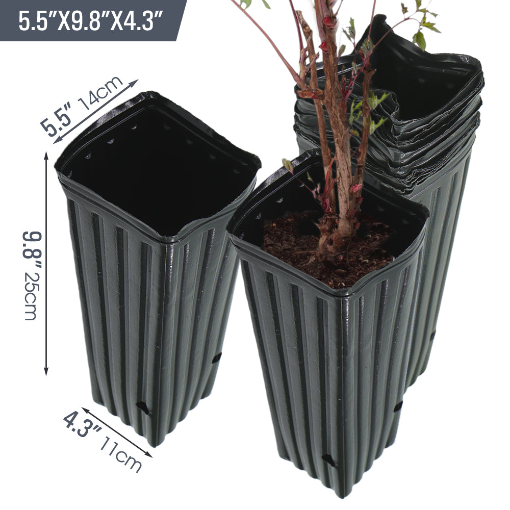 Plastic Deep Plant Nursery Pots Quadrate, Pack of 50