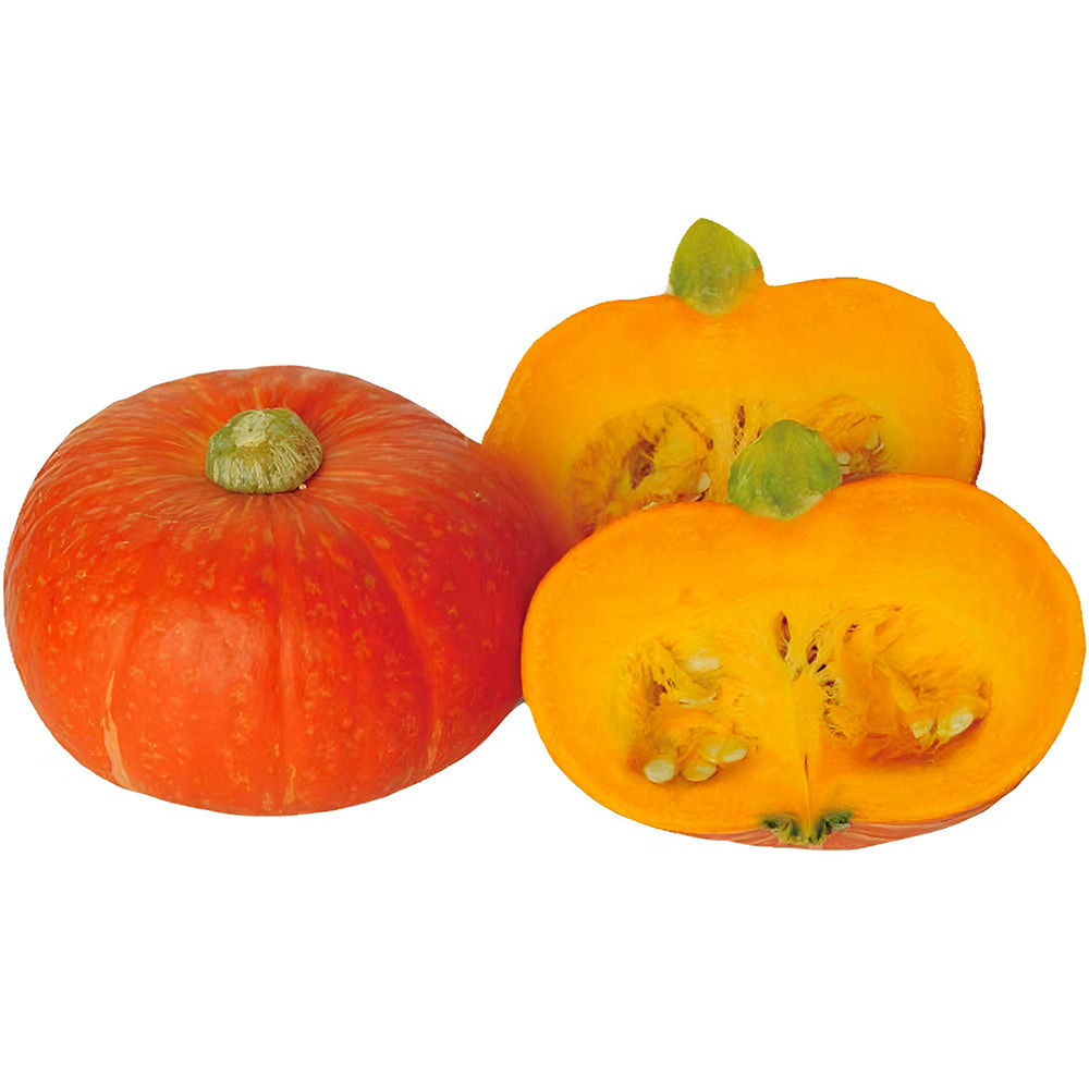 5 Bags of Red Babe Chestnut Pumpkin Seeds