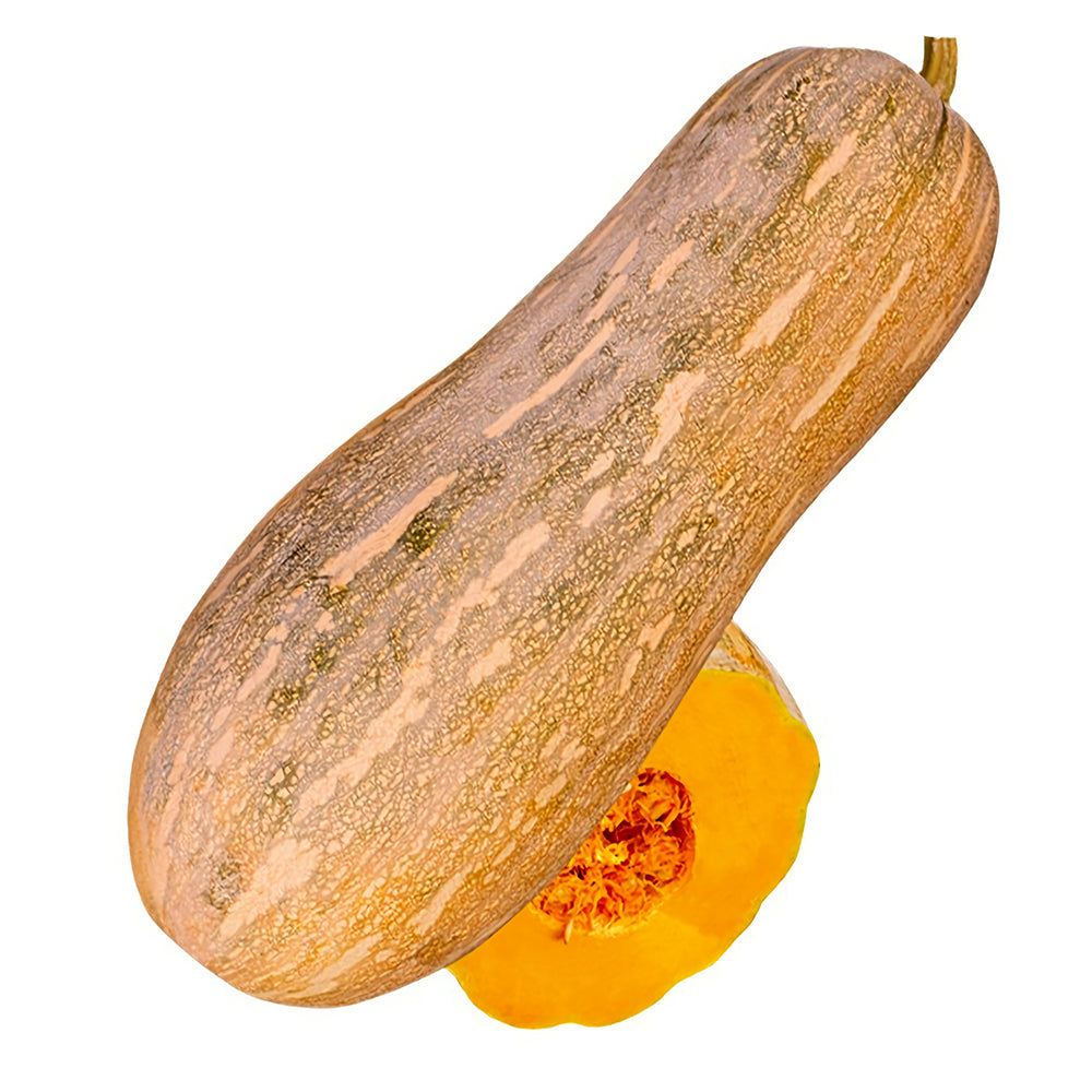 5 Bags (50 Seeds / Bag) of Chinese Miben Pumpkin Seeds