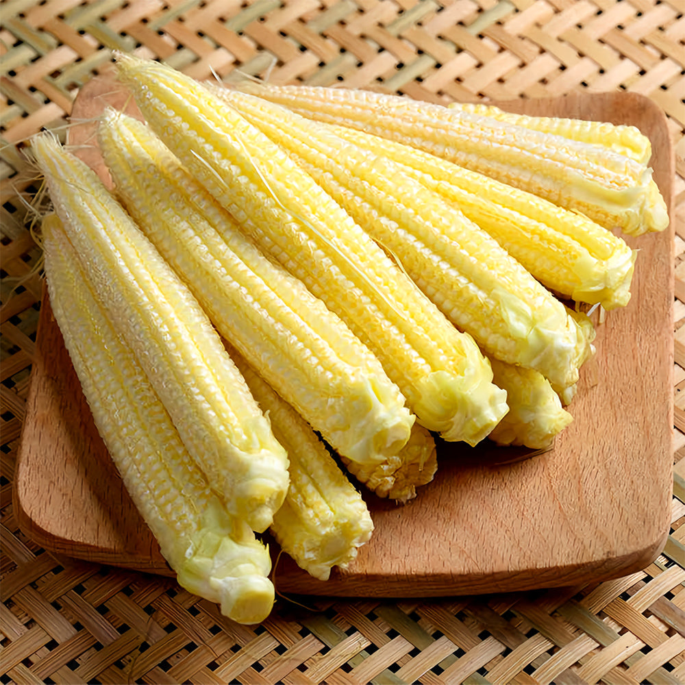 Take Your Crop to the Next Level: 50 F1 Sweet Baby Corn Seeds