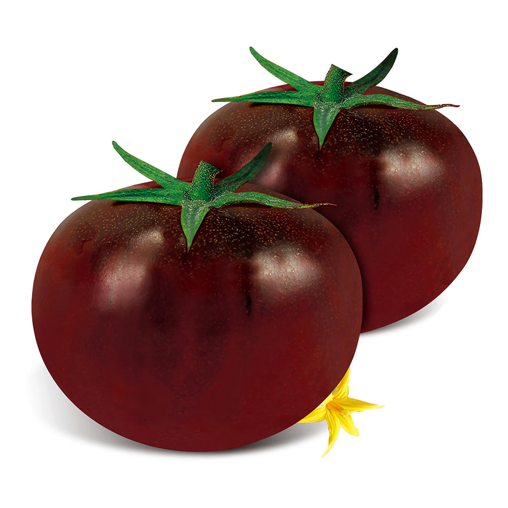 Cultivate Curiosity: 5 Bags (100 Seeds / Bag) of 'Daheiren' Black Tomatoes
