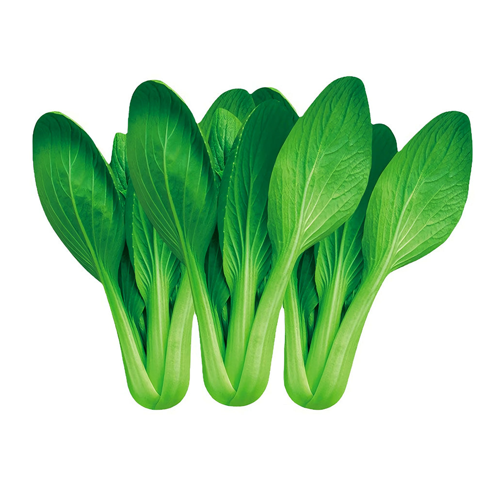 Jingyan® Organic Pak Choi Seeds