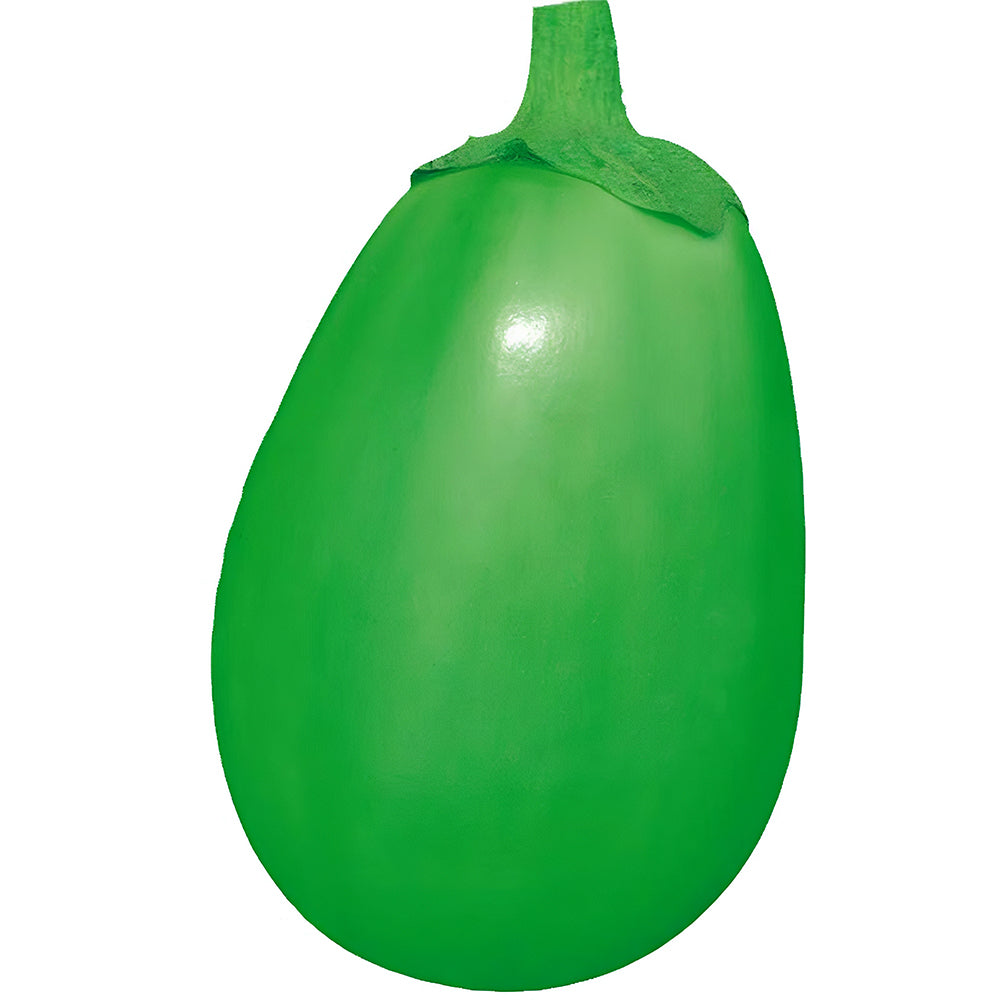 5 Bags (300 Seeds/Bag) of 'Xi'an Green Can' Eggplant Seeds