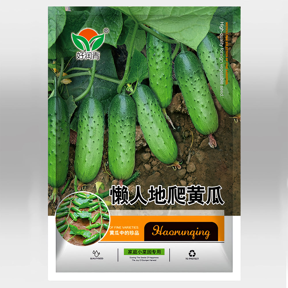 Lazy Gardener's Delight: 5 Bags (60 Seeds/Bag) No-Stake Climbing Cucumbers