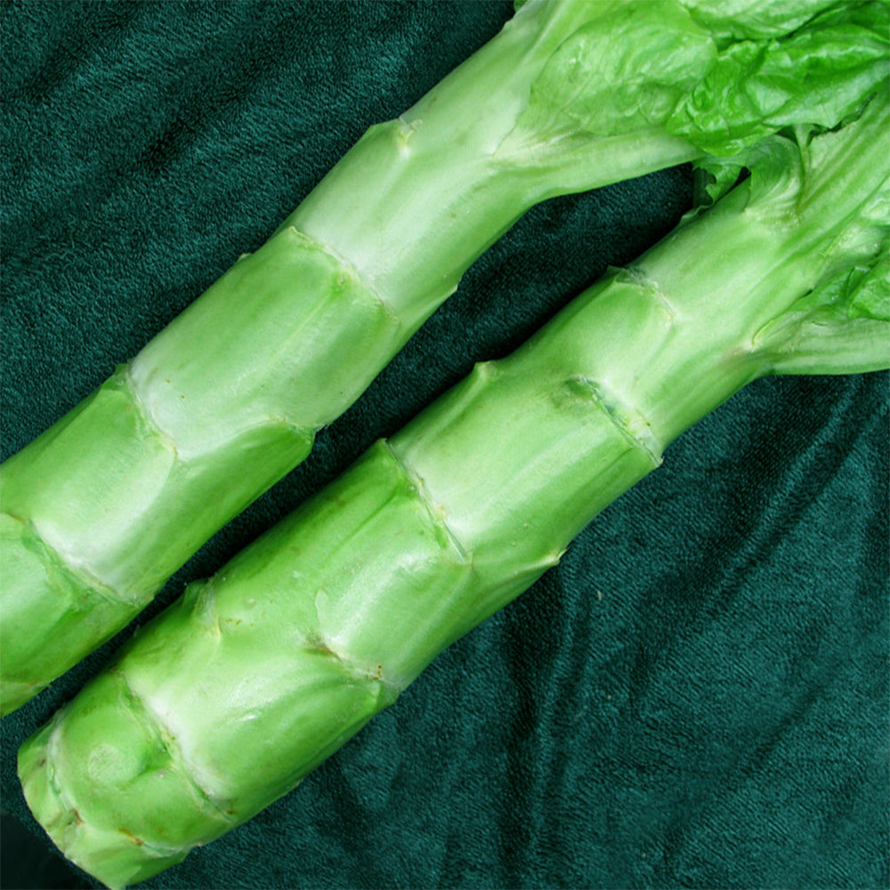 5 Bags (3000 Seeds / Bag) Green Asparagus Lettuce Seeds