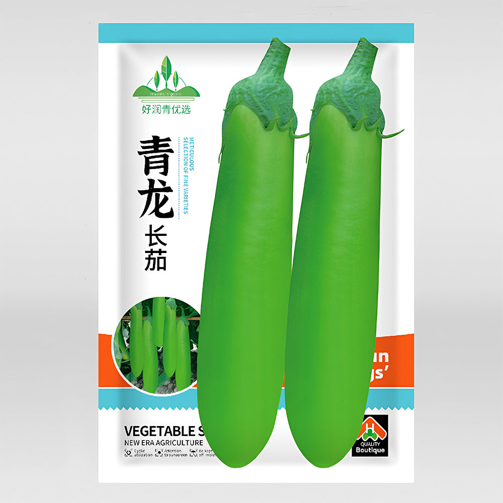 5 Bags (100 Seeds/Bag) of 'Green Dragon' Long Eggplant Seeds