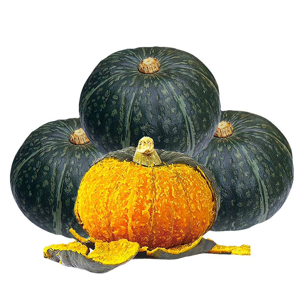 5 Bags (20 Seeds / Bag) of 'Green Baby' Small Pumpkin Seeds
