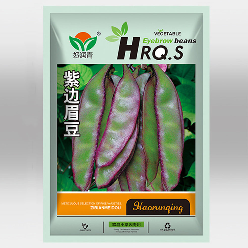 Dazzling Garden Additions: 5 Bags (10 Seeds / Bag) of Purple-Green Hyacinth Bean