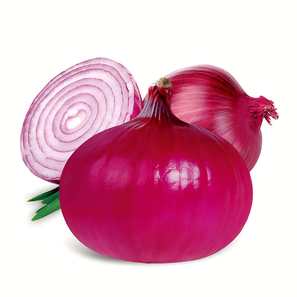 5 Bags (500 Seeds/Bag) of Exquisite Red Onion Seeds