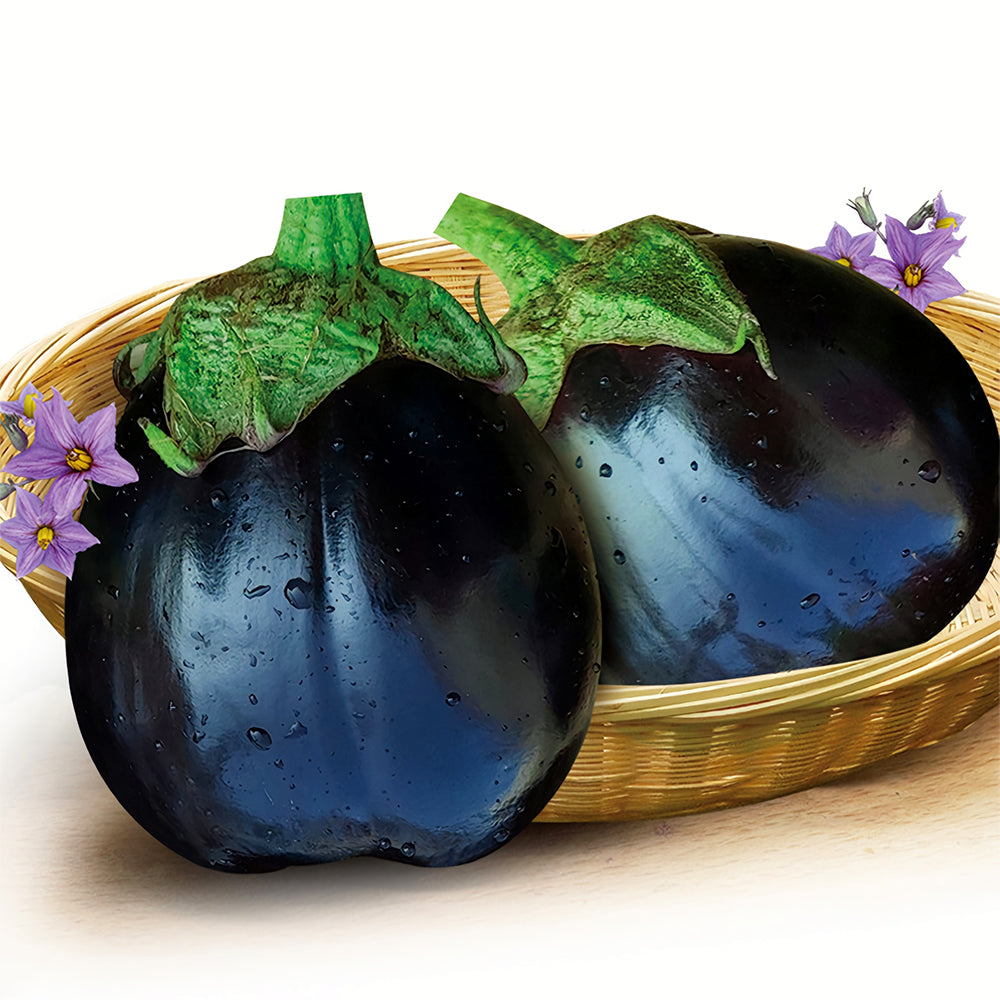 5 Bags (200 Seeds/Bag) of Black Beauty Eggplant Seeds