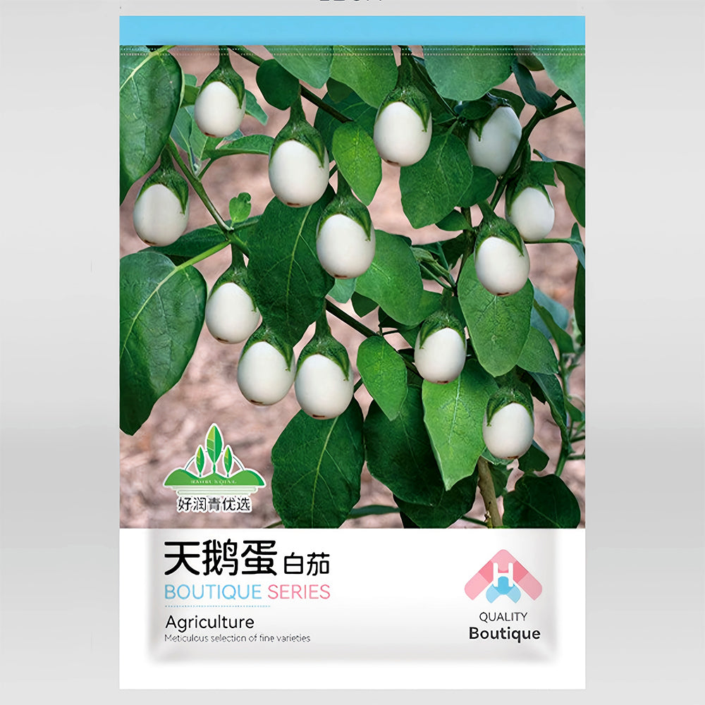 5 Bags (100 Seeds/Bag) of 'White Baby' Round Eggplant Seeds