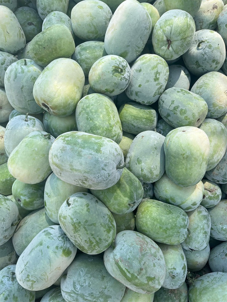 Green Star Wax Gourd